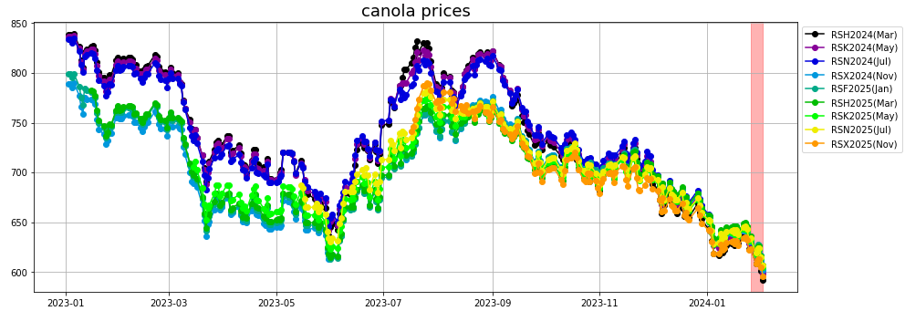 canola prices