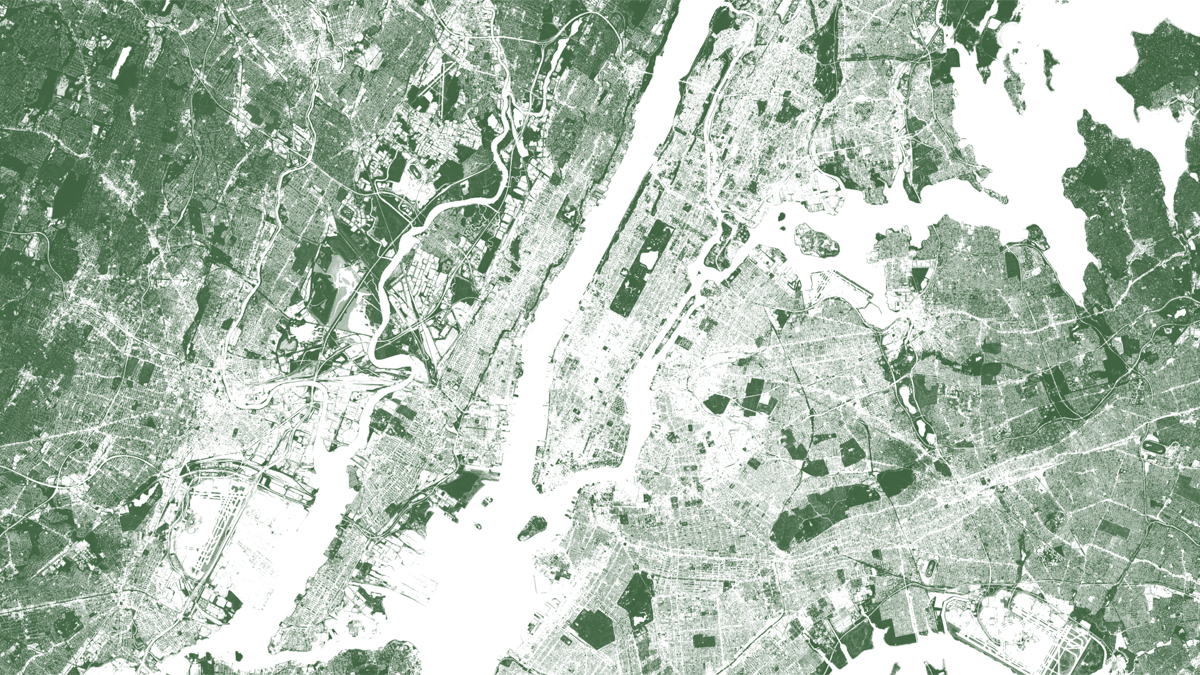 nyc-ndvi-green