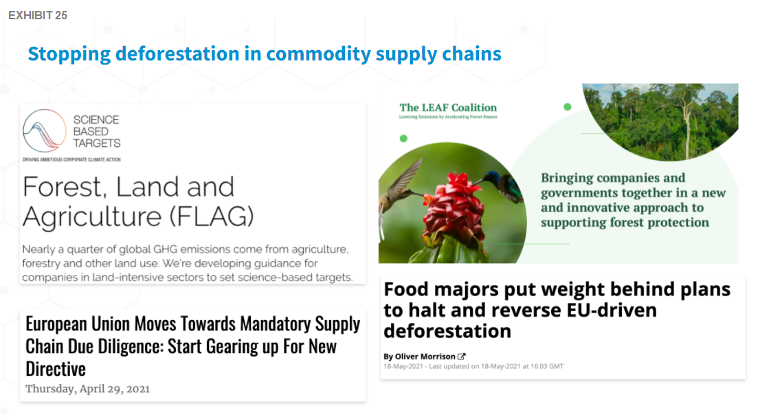stop deforestation_ exhibit 25