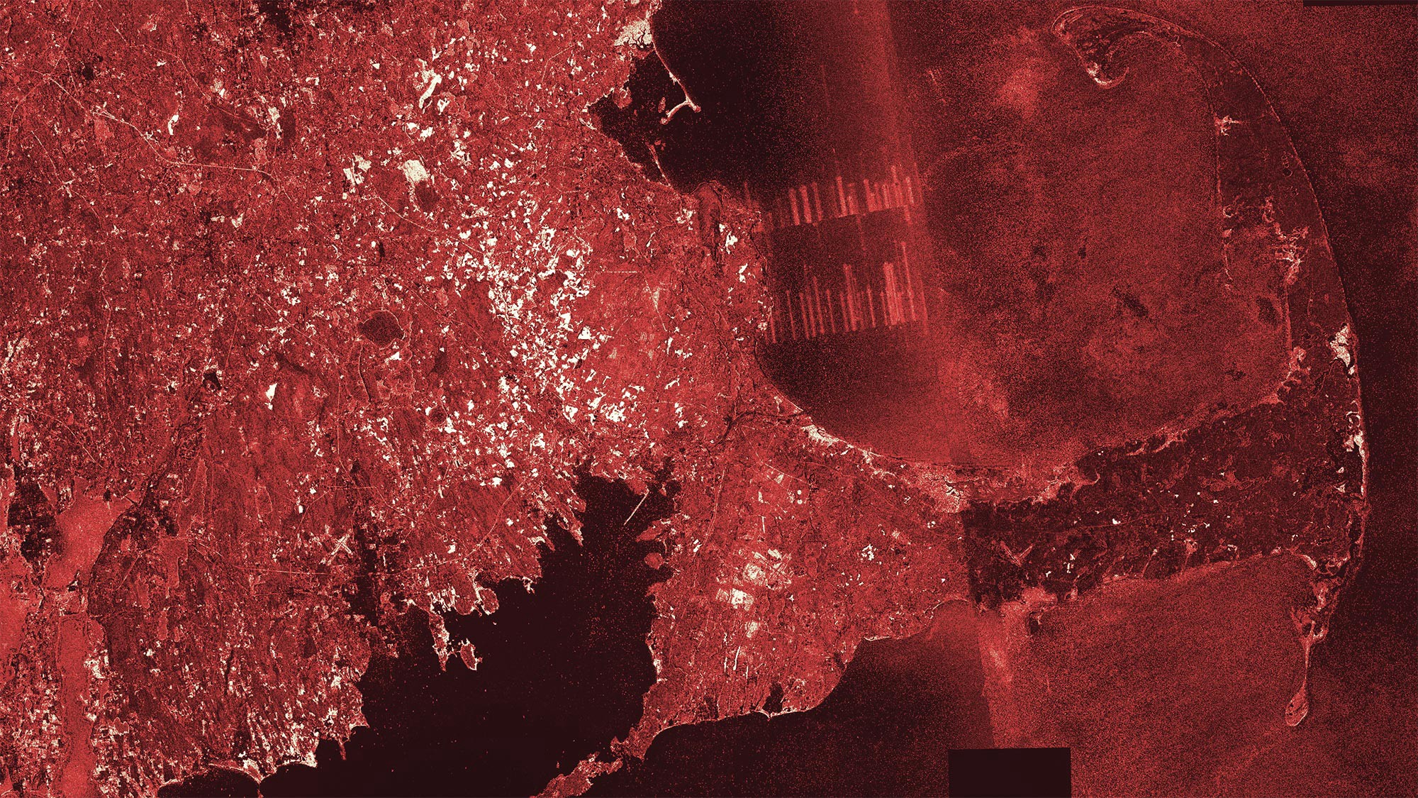 We delineated cranberry bogs across the United States by building a machine learning classifier using synthetic aperture radar (SAR) data from the European Space Agency’s Sentinel-1 satellite. This raw probability map over Massachusetts (with a cranberry colormap!) reveals the most likely locations of cranberry bogs (shown in bright white) as well as signal artifacts in radar data, scene boundaries and very bog-like coastal wetlands.